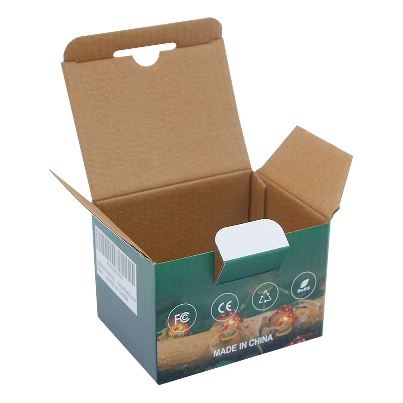 Customized Bowl Packaging Box Washing Powder Packing Boxes Small Electrical Laundry Pods Corrugated Shipping Box