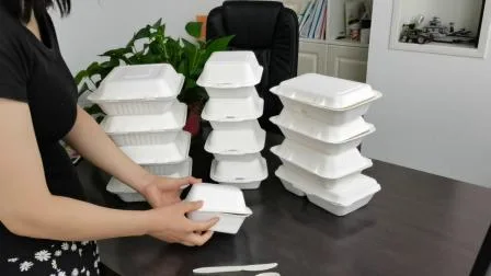 Disposable Biodegradable Sugarcane Bagasse Pulp Paper Food Packaging Container Box